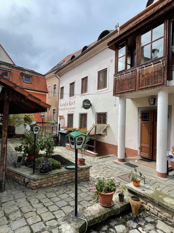 Katalinkert Panzio Bed and Breakfast Γκιόρ Εξωτερικό φωτογραφία